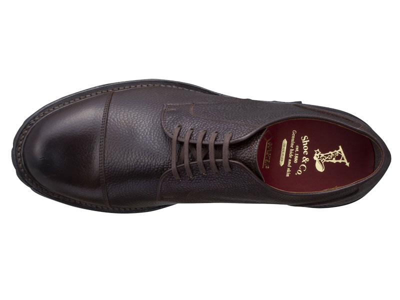 Regal Shoe & Co. Straight Tip Gore-Tex 819S DFK11: Scotch Dark Brown