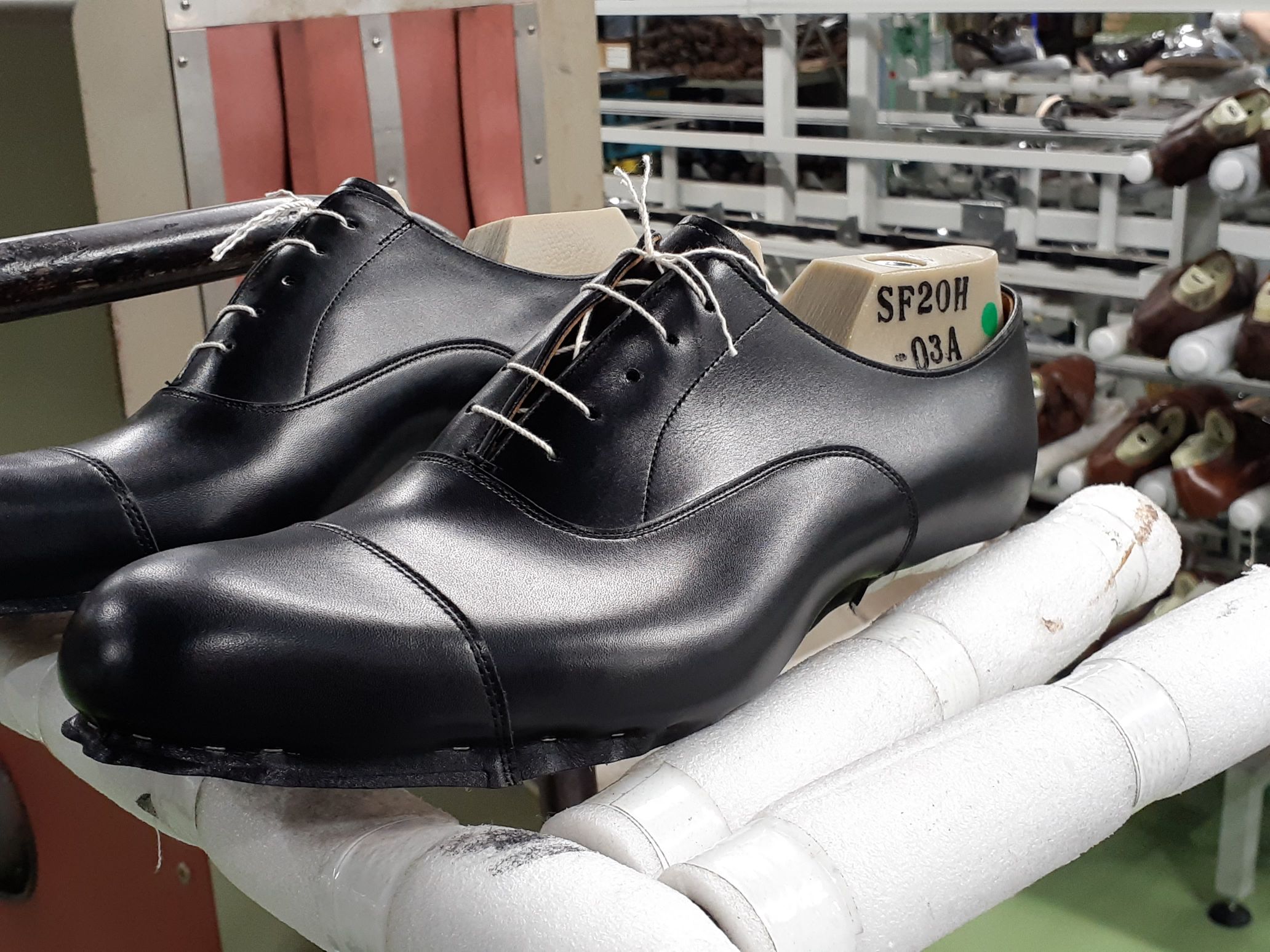 靴 通販 | ドレイトン/パンチドキャップトウ(5.5(23.5) ブラック 